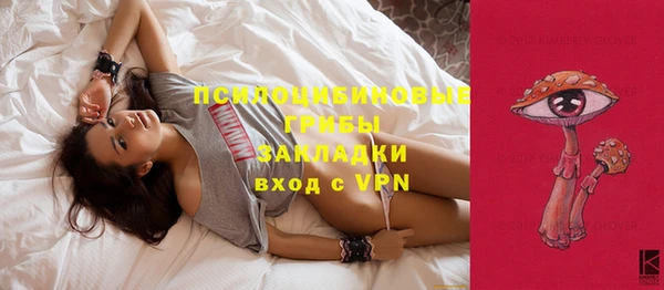 винт Абаза