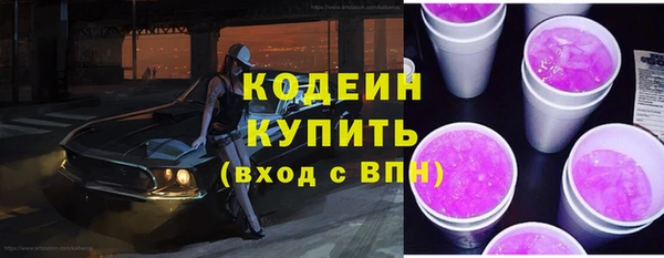 твердый Осинники