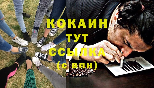 винт Абаза