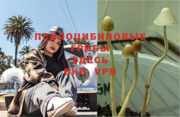 винт Абаза