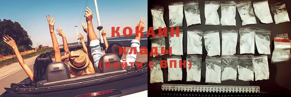 шишки Абинск