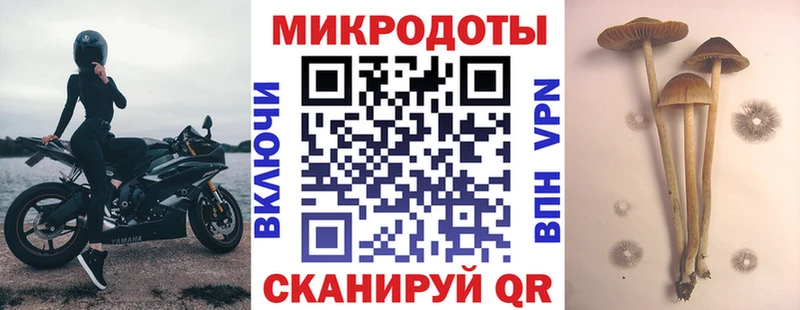 Псилоцибиновые грибы Psilocybine cubensis  магазин  наркотиков  Кирс 